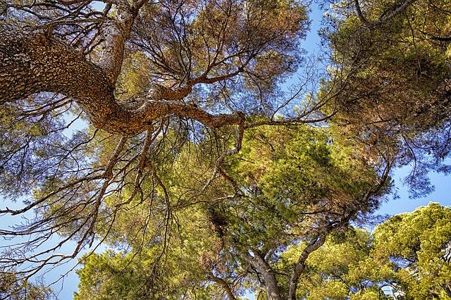 Co Vše Lze Třídit: Rozšiřte Své Udržitelné Horizonty