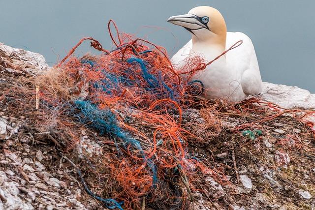 Co patří do plastového, papírového a skleněného kontejneru?