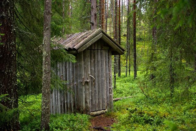 Jak Kam Vylít Chemické WC správně používat