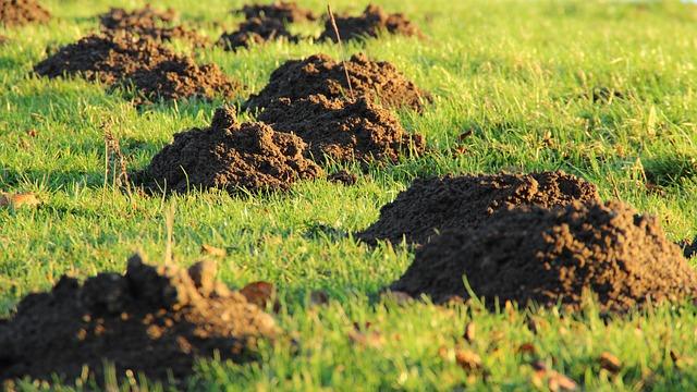 Proč je Krtek nezbytný pro správnou likvidaci odpadu