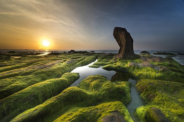 Green Peace: Jak Třídit Odpad a Zachránit Planetu