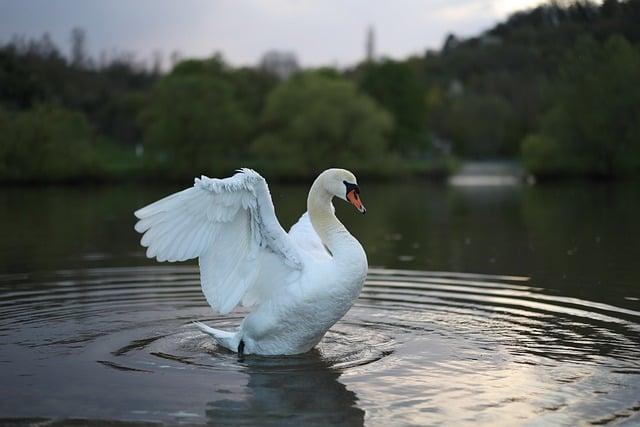 Jak udržet fotografie v dobrém stavu