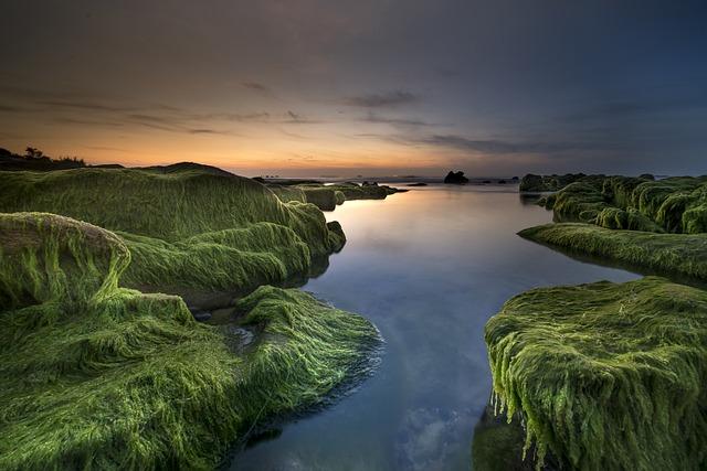 Green Peace: Jak Třídit Odpad a Zachránit Planetu